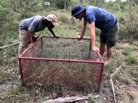 Kgomotso field work 2.jpg