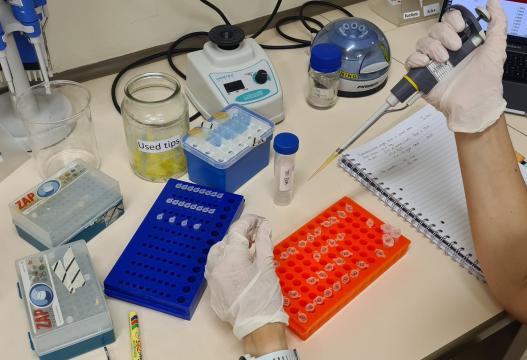 Molecular screening.jpg