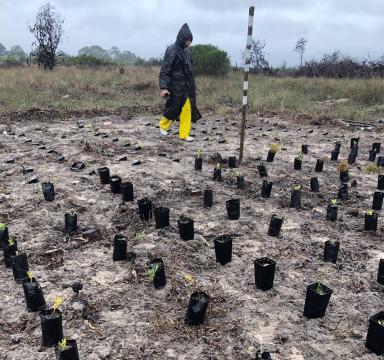 set up prior to planting.jpg