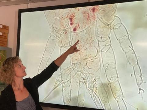 Training on mites.jpg