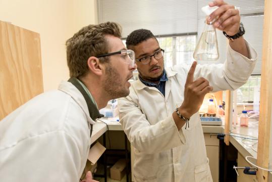 Student and supervisor looking at solution