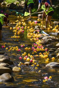 Duckrace-154