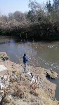 Sampling from a river receiving effluent from a Wastewater Treatment Plant