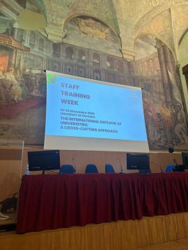 Chloe Appollis: Administrative Officer for Transport Services in Bologna