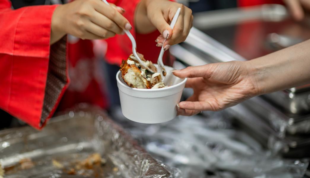 A serving of food at the international food evening