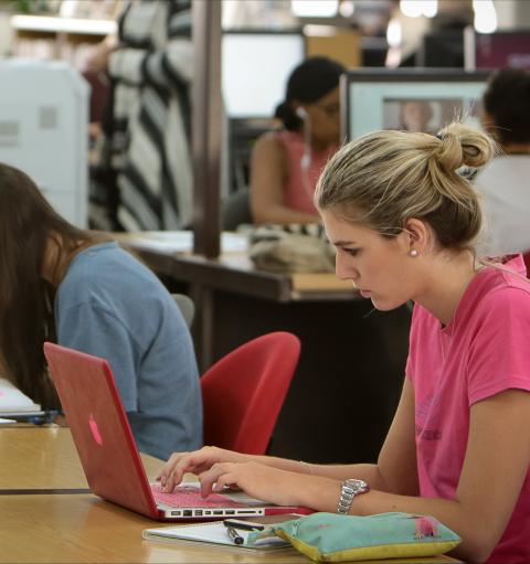 Image of student laptop user