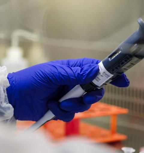 Physiological Sciences