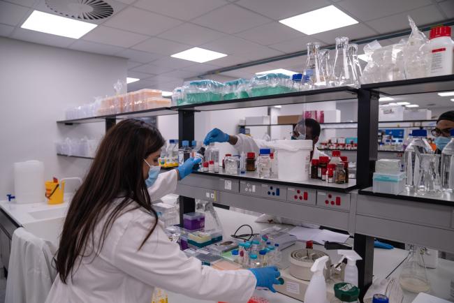 Labwork