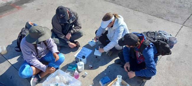 BSc Earth Science students sampling water along the West Coast