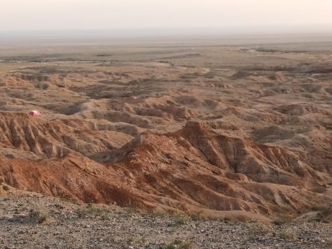 Looking out across the exposed fossil-bearing strata of the fossil locality Teel Ulaan Chaltsai, located in the Sainshand Sub-basin, Eastern Gobi Basin, Mongolia. The team dated eggshell from the Teel Ulaan Chaltsai locality