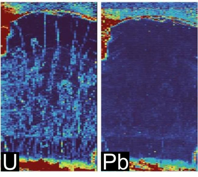 Comparative elemental map of isotopes uranium (U) and lead (Pb) that were used for age dating fossil eggshell collected from the Mussentuchit Member, Cedar Mountain Formation, Utah (USA). Maps indicate that in the USA sample, Uranium (U) penetrated the eggshell after fossilization, whereas the samples from Teel Ulaan Chaltsai show uranium (U) prior to fossilization.