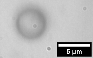Image of microscopically small water droplet held mid-air in an optical trap
