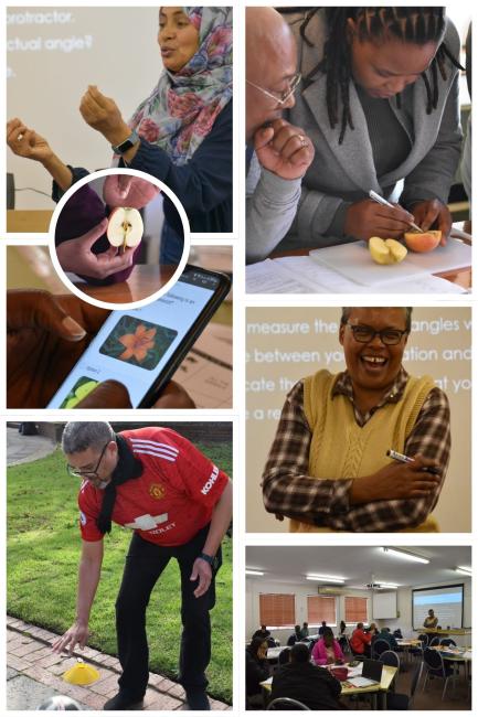 Collage of TPL activities