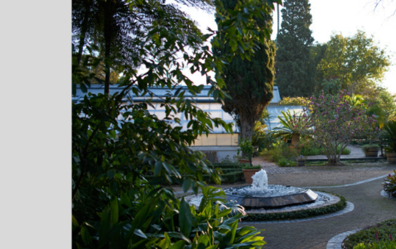 BOTANICAL GARDEN | Stellenbosch University