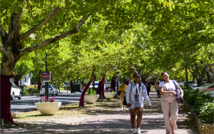 students walking on stellenbosch campus