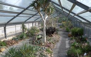 Glasshouses.jpg