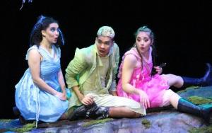 Undergraduate Offering