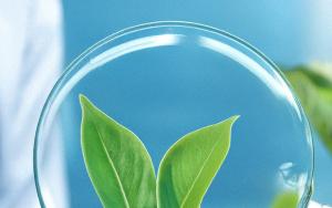 Research Day - Sustainability Presentation