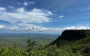 Sedimentary rocks of the West Congo Belt hold hidden ore resources for metals like copper, zinc, and vanadium. 