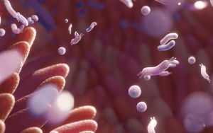 Human gut microbiome