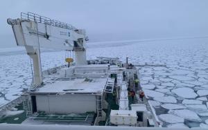 The samples for the study were collected during the Southern Ocean Seasonal Experiment (SCALE) austral winter expedition on board the SA Agulhas II polar research vessel from 11 to 22 July 2022.