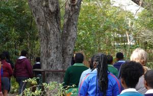 Stellenbosch University Botanical Garden plants educational seeds for local scholars