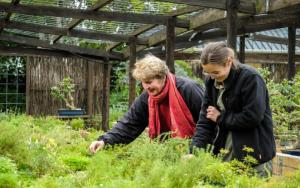 Stellenbosch University’s Botanical Garden – Bucking the global trend