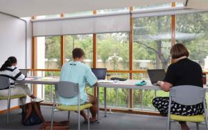 Students study in the Theology Library