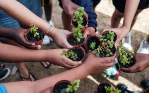 Social impact