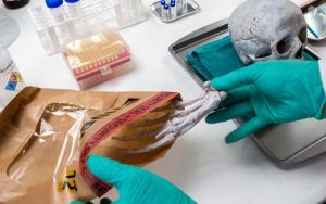 Forensic scientist collecting evidence from human skeletal remains