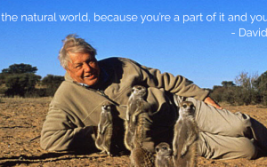 Sir Richard Attenborough