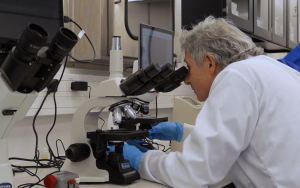 Clive Gray Microscope