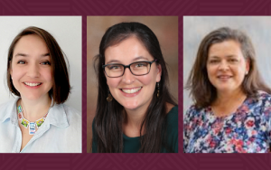 Auxin: Artificial Intelligence in Higher Education: ChatGPT and its implications for TLA