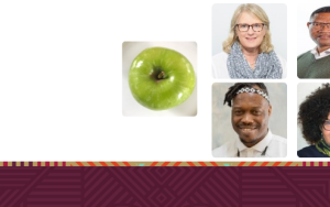 Auxin: Challenges of Transforming Curricula: Reflections by an interdisciplinary community of practice