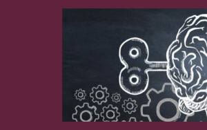 Auxin: Modelling students’ minds – what cognitive science can teach us about teaching