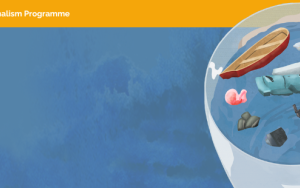 Building science journalism capacity in the SADC region