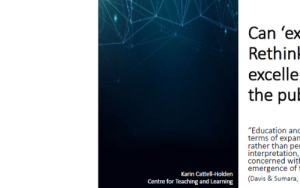 Can ‘excellence’ turn? Rethinking teaching excellence awards for the public good