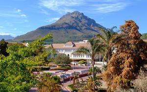 Candidates: Convocation vacancy on Council