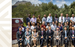 Celebrating 15 years of promoting Chinese language and culture