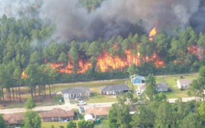 Climate change, land use cause increase in wildland fires