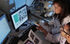 Collaboration helps develop aspiring and emerging scholars in and for Africa