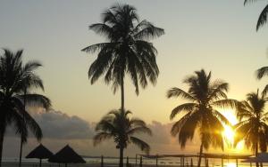 Curriculum for Climate Change