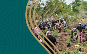 DACES’s ongoing efforts towards sustainability