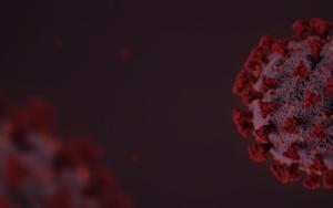 Data from South Africa suggests greater risk of reinfection by Omicron