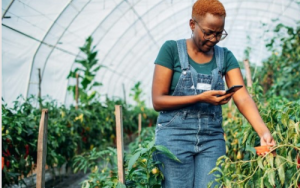 Digital connectivity gives women agripreneurs in Africa a fighting chance