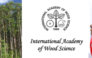 Dr. Adefemi Alade obtains the first position at the IAWS Doctoral Award and Medal for 2022