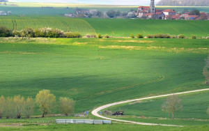 Eco-estates ‘failed to contribute to just sustainabilities’