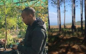 Industry and government support for saw-log forest management research project