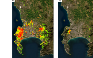 Innovative monitoring protocol for PSHB based on citizen science