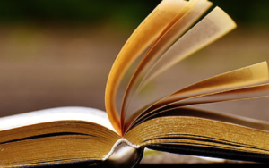 Internasionale Geletterdheidsdag: Innoverende onderrigmetodes kan help om leeskrisis op te los